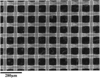 Nylon net filter